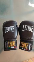 Boxhandschuhe