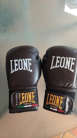 Boxhandschuhe