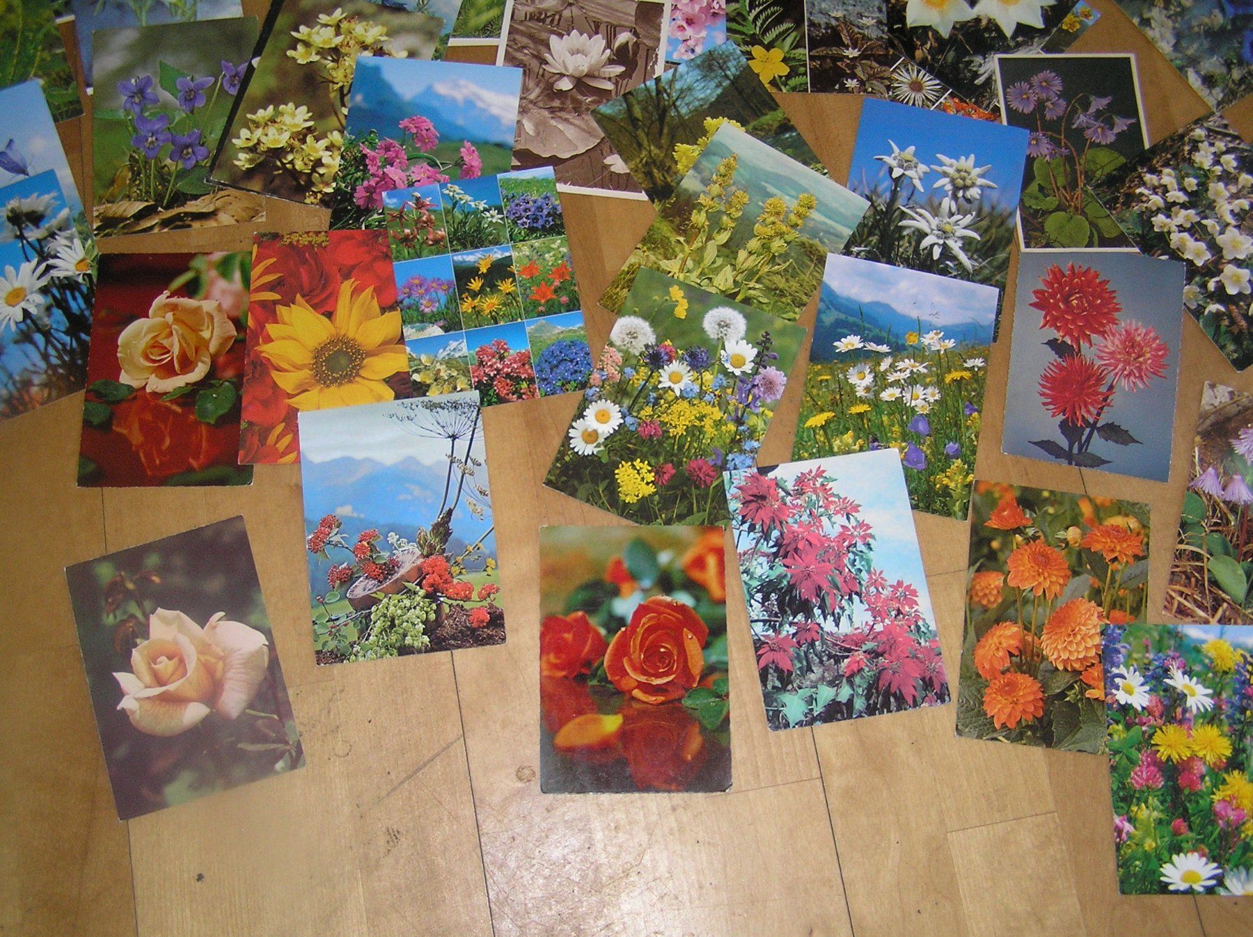 Cartes postales: 160 Schöne Blumenkarten – D'occasion à Lumbrein par made02 9