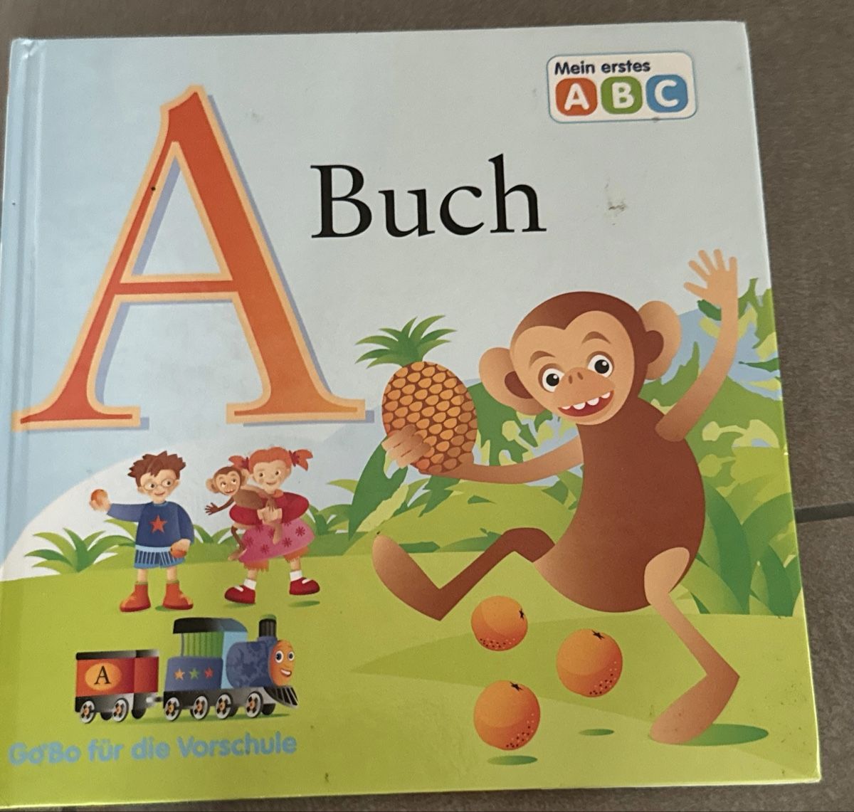 Libri: Mein erstes ABC - Kinderbuch – Usato da Grosswangen venduto da Bernadette2020