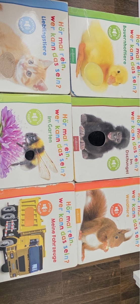 Bücher: Hör mal rein Buch-Set 6 Stk. gebraucht – Gebraucht aus Effingen von boz_yl5m