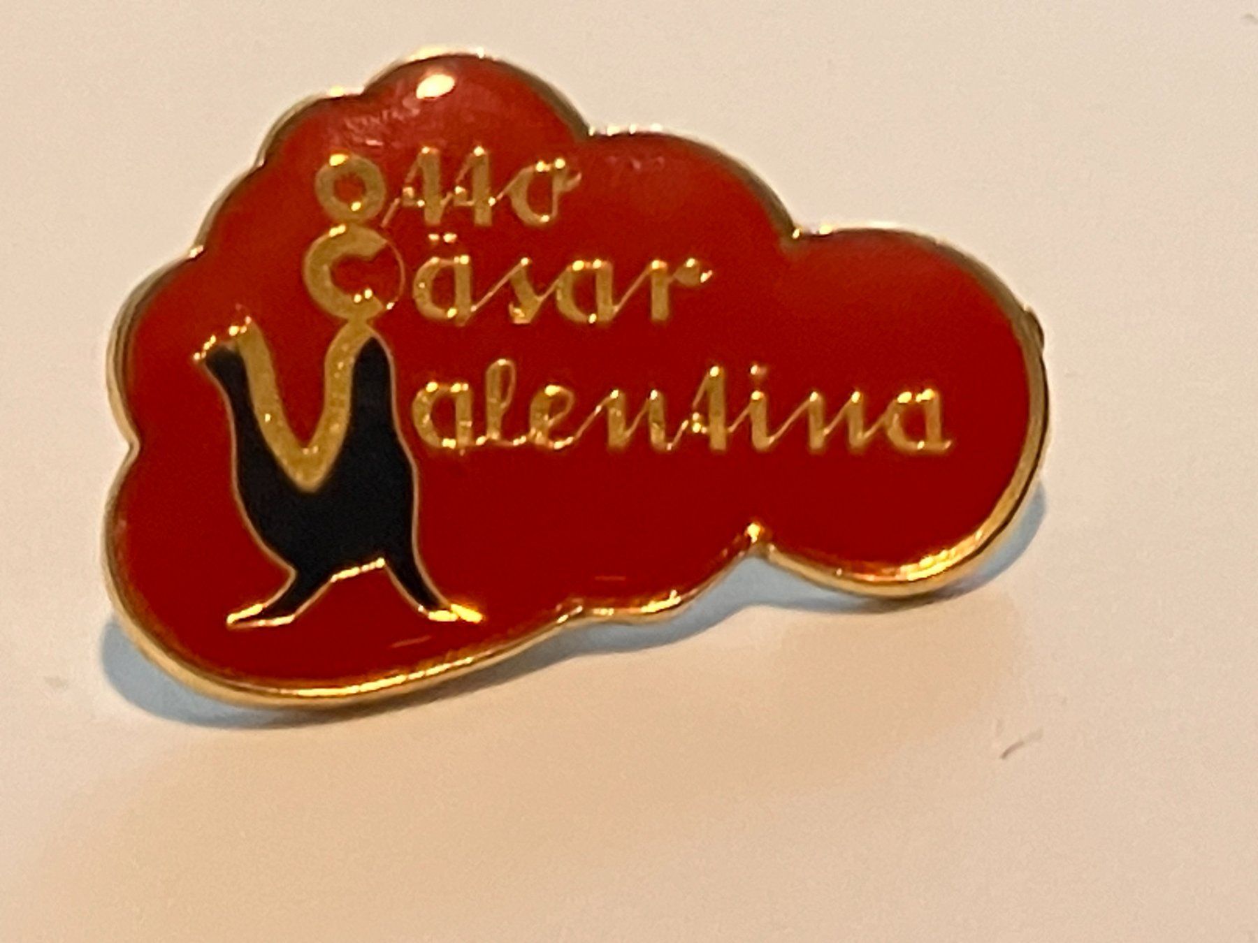 Placchette & Badge: 1 Pin Otto Cäsar Valentina – Usato da Basel venduto da djwwpp