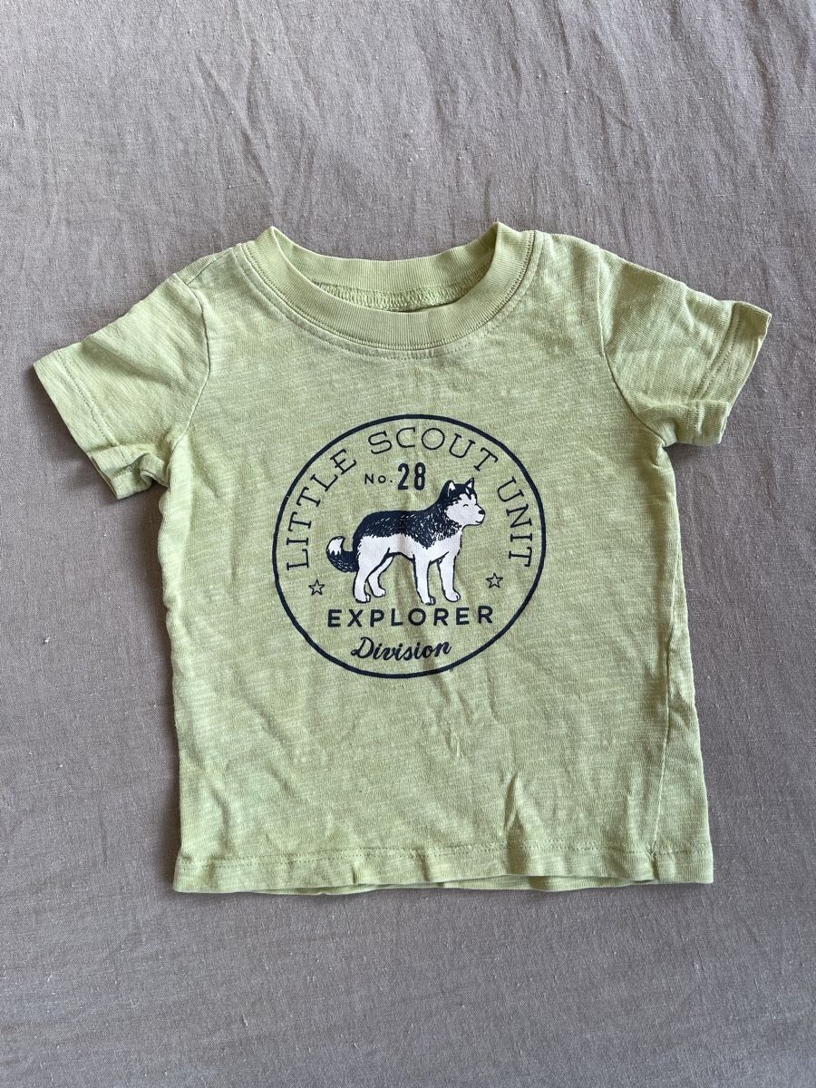 Carter's Camicie, Top & T-shirt: Carter's T-Shirt Gr. 12M – Usato da Hirzel venduto da carta9