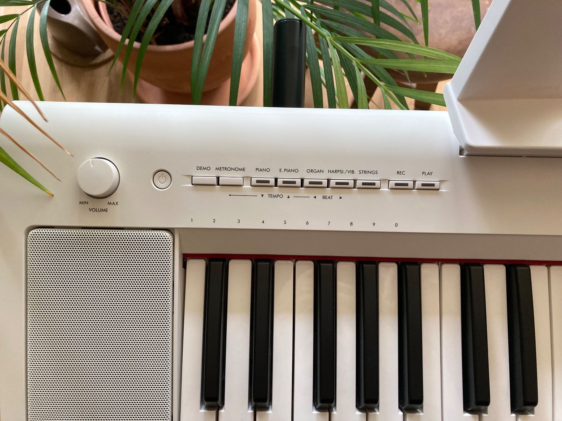 Yamaha Strumenti musicali: E-Piano Yamaha Piaggero NP 15 – Usato da Lausen venduto da arl_nt5p 2