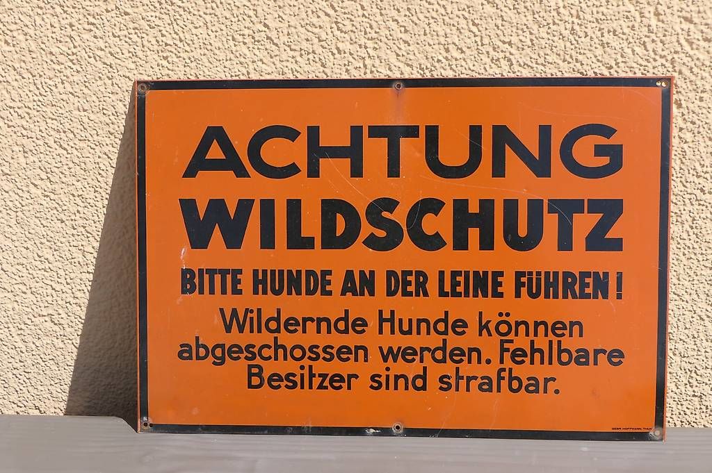 Insegne: altes Schild Achtung Wildschutz – Usato da Lenggenwil venduto da Reto888