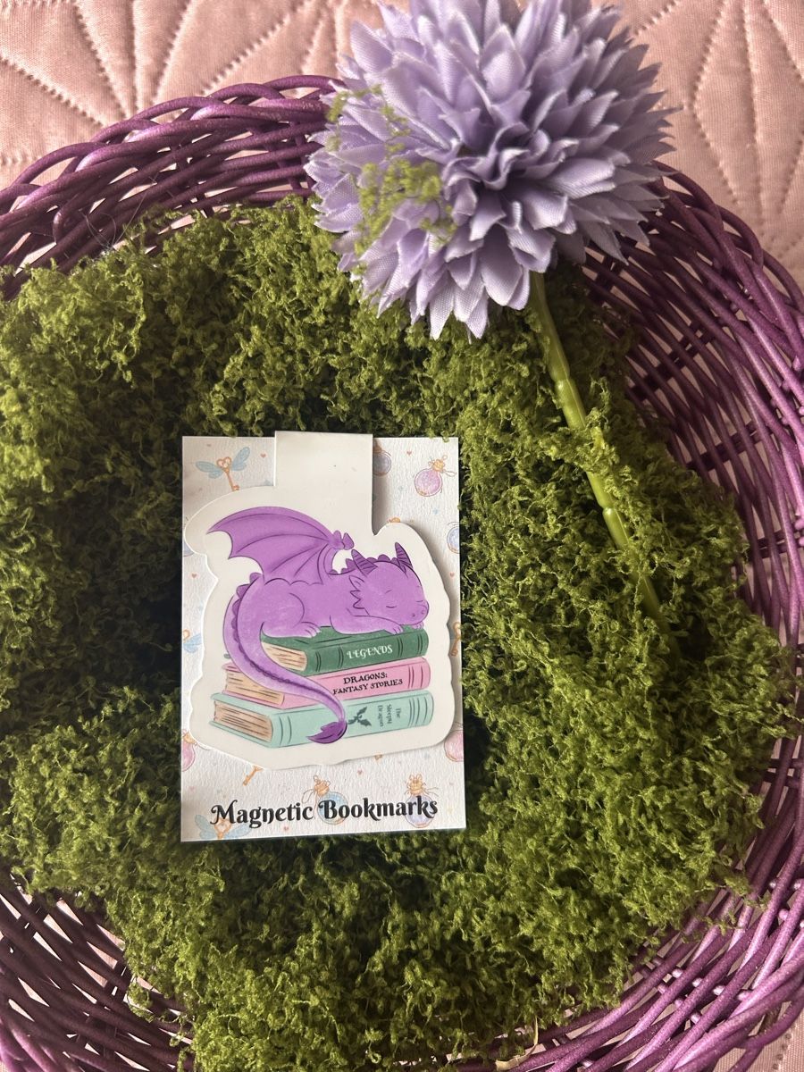 Altre raccolte & rarità: Dragon Bookmark. Magnetic – Nuovo (secondo la descrizione) da Schwerzenbach venduto da fat_6h9n 1