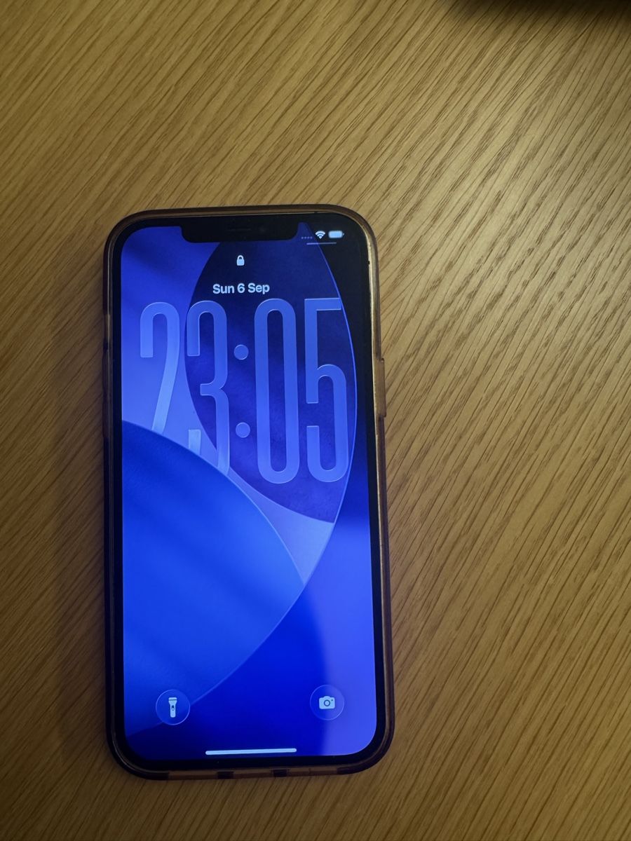 Apple Telefoni cellulari / Smartphones: Iphone 12 Pro Max 256GB Gold – Usato da Rütihof venduto da ine_6zy5