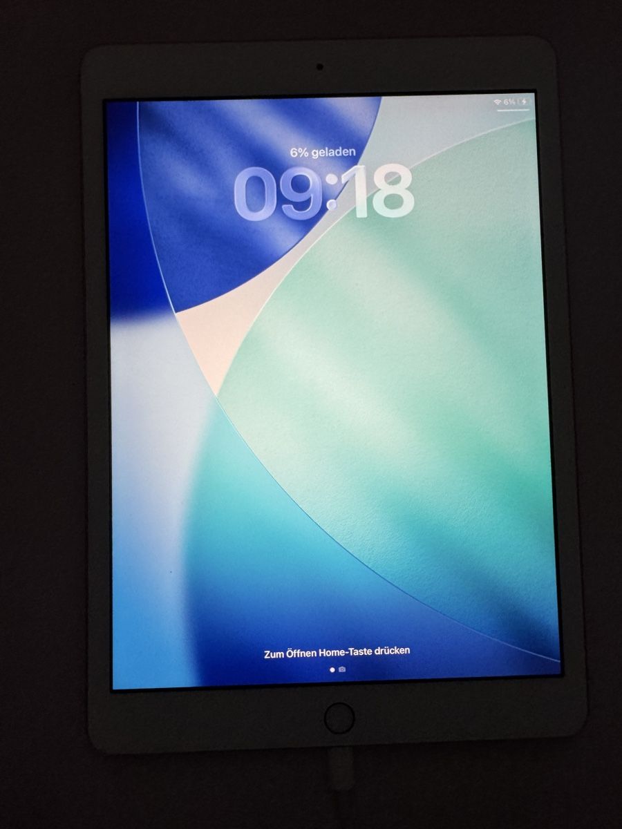 Apple Tablet PC: iPad 8. Generation (2020) Rosa 32 GB – Usato da Wil SG venduto da Edz2017 4