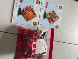 Lego Lunar New Year Display - 80110