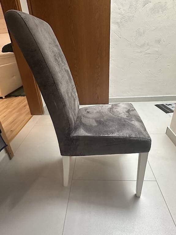 Sedie: Stühle Esszimmer – Usato da Luterbach venduto da jes_7gzv 1