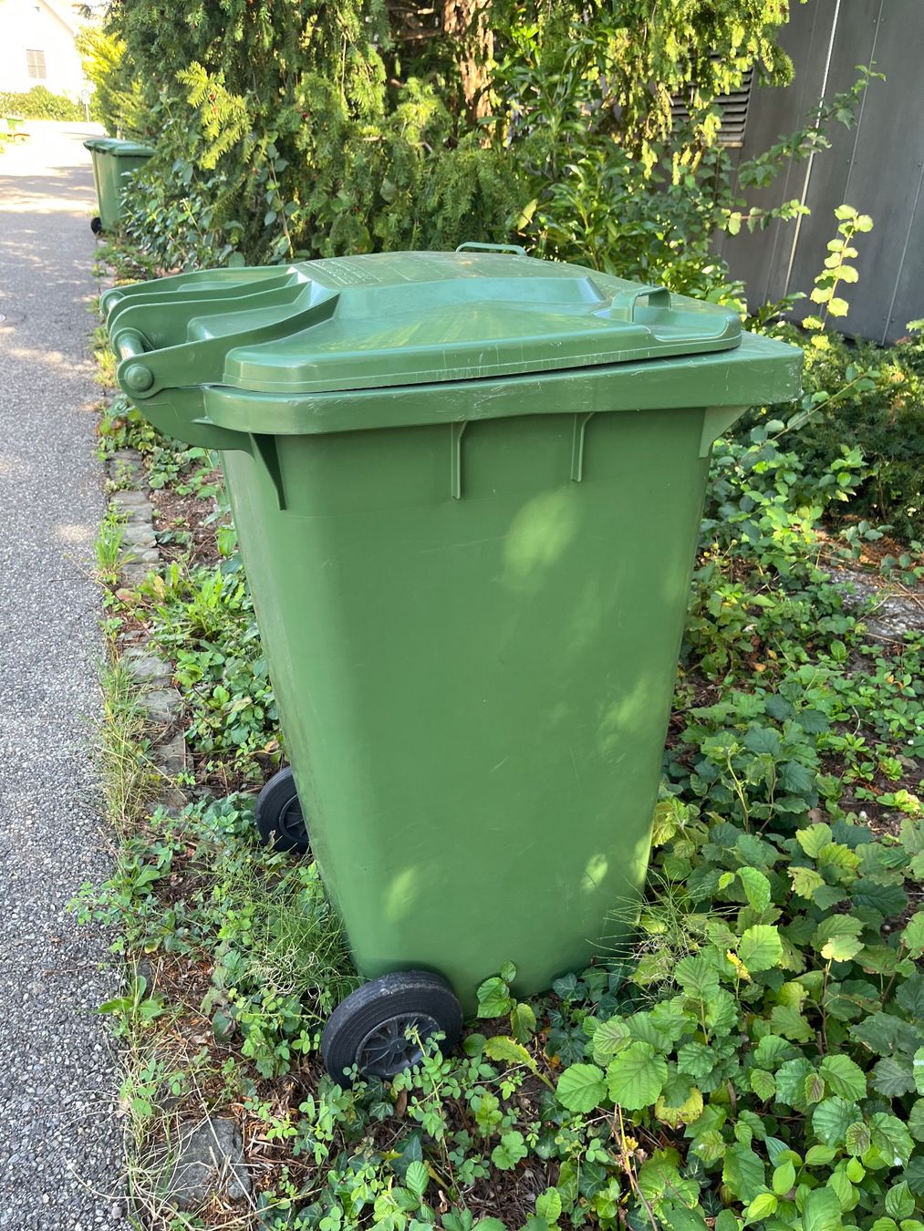 Altro per Ufficio & Commercio: Grüncontainer 240l – Usato da Lohn-Ammannsegg venduto da nad_nzl8 2
