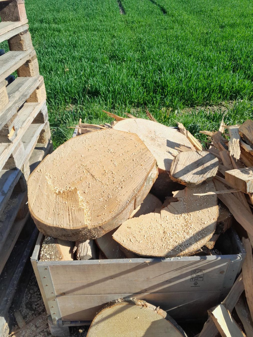 Holzartikel: Brennholz ab 1.- – Gebraucht aus Inkwil von karlheinz07 1