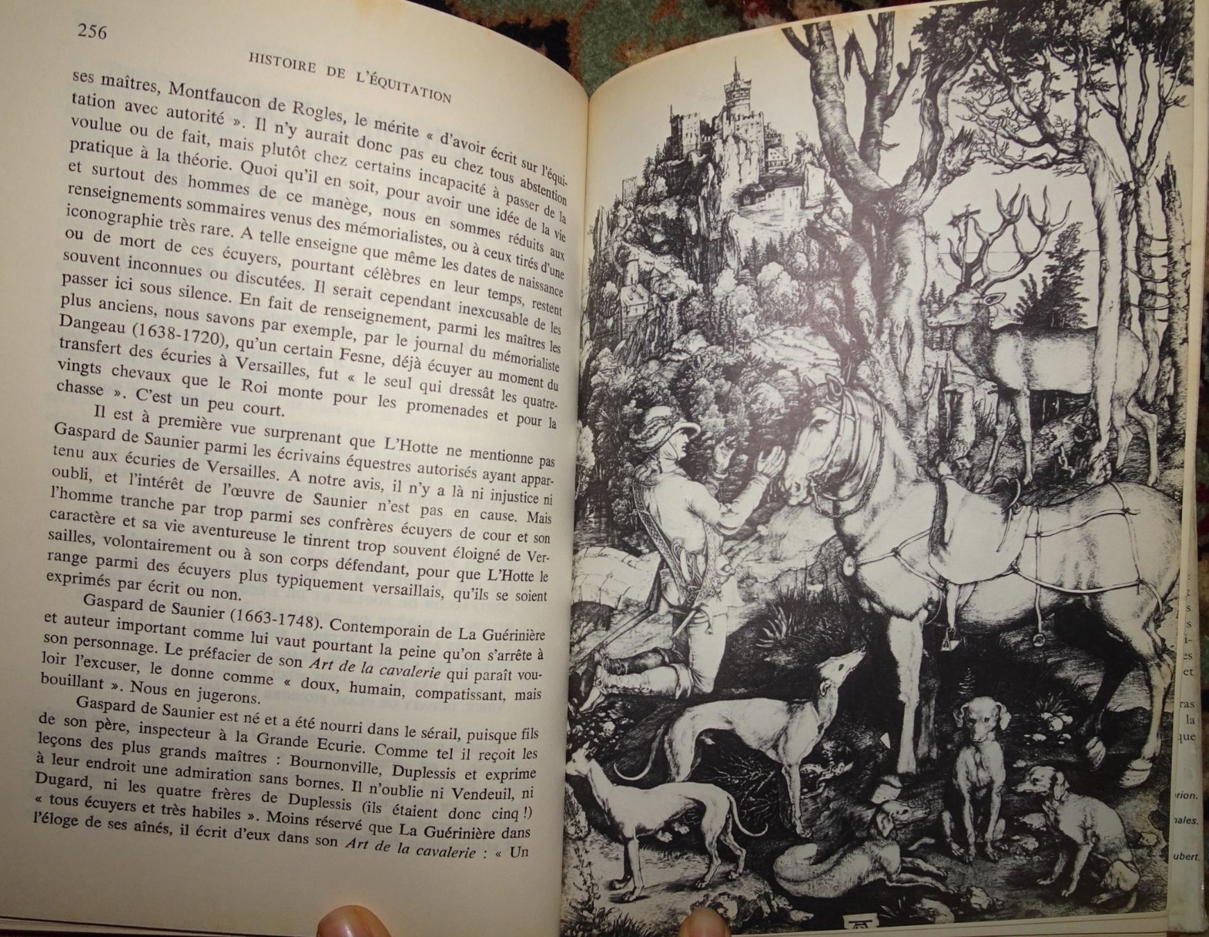 Bücher: Histoire de l'équitation – Gebraucht aus Châtelaine von fil_7lqg 5