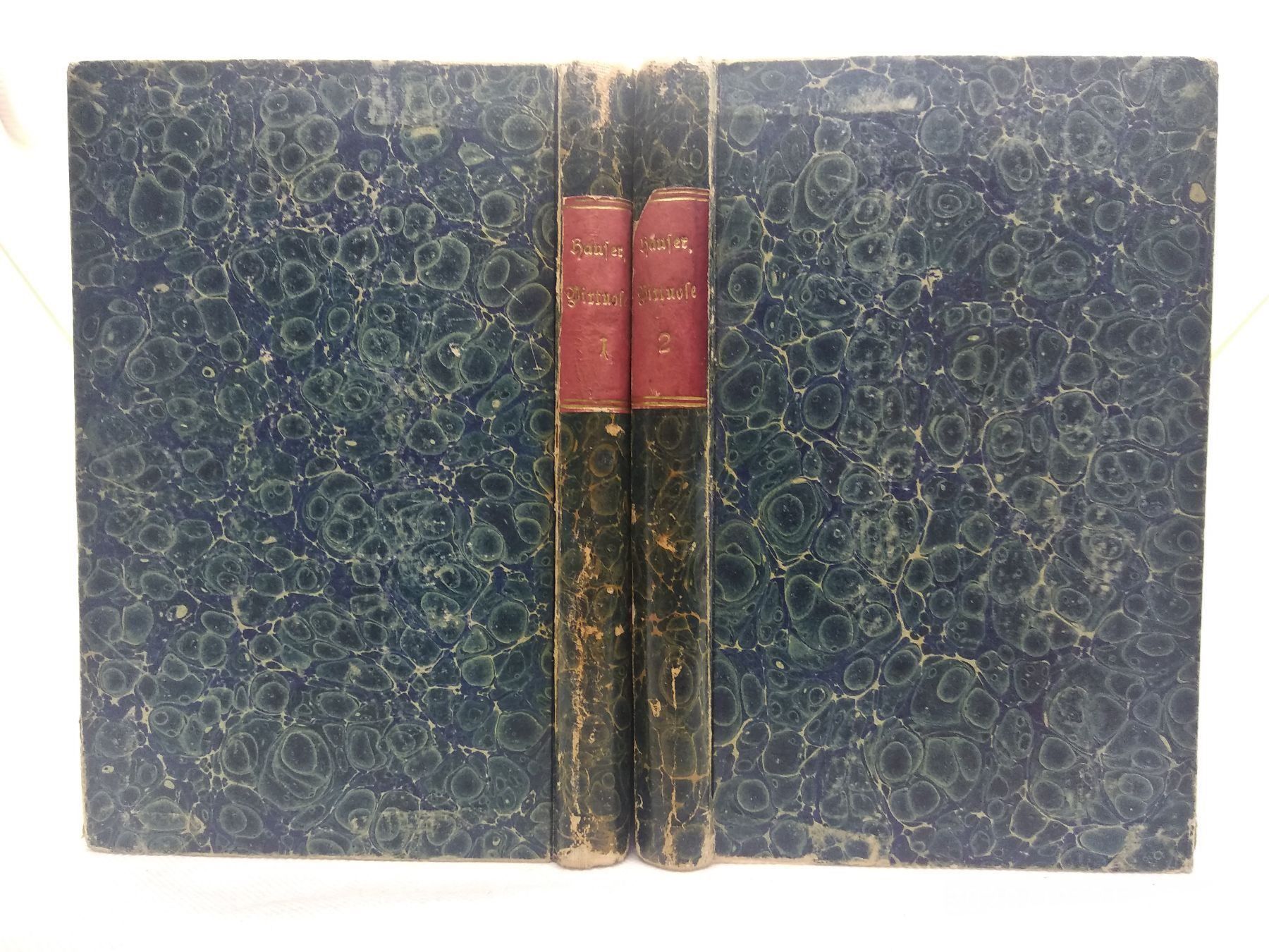 Bücher: WANDERBUCH AMERIKA 1859 – Gebraucht aus Goldach von Gaip 2