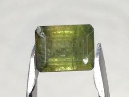 grüner Turmalin Edelstein, 1.6 Karat
