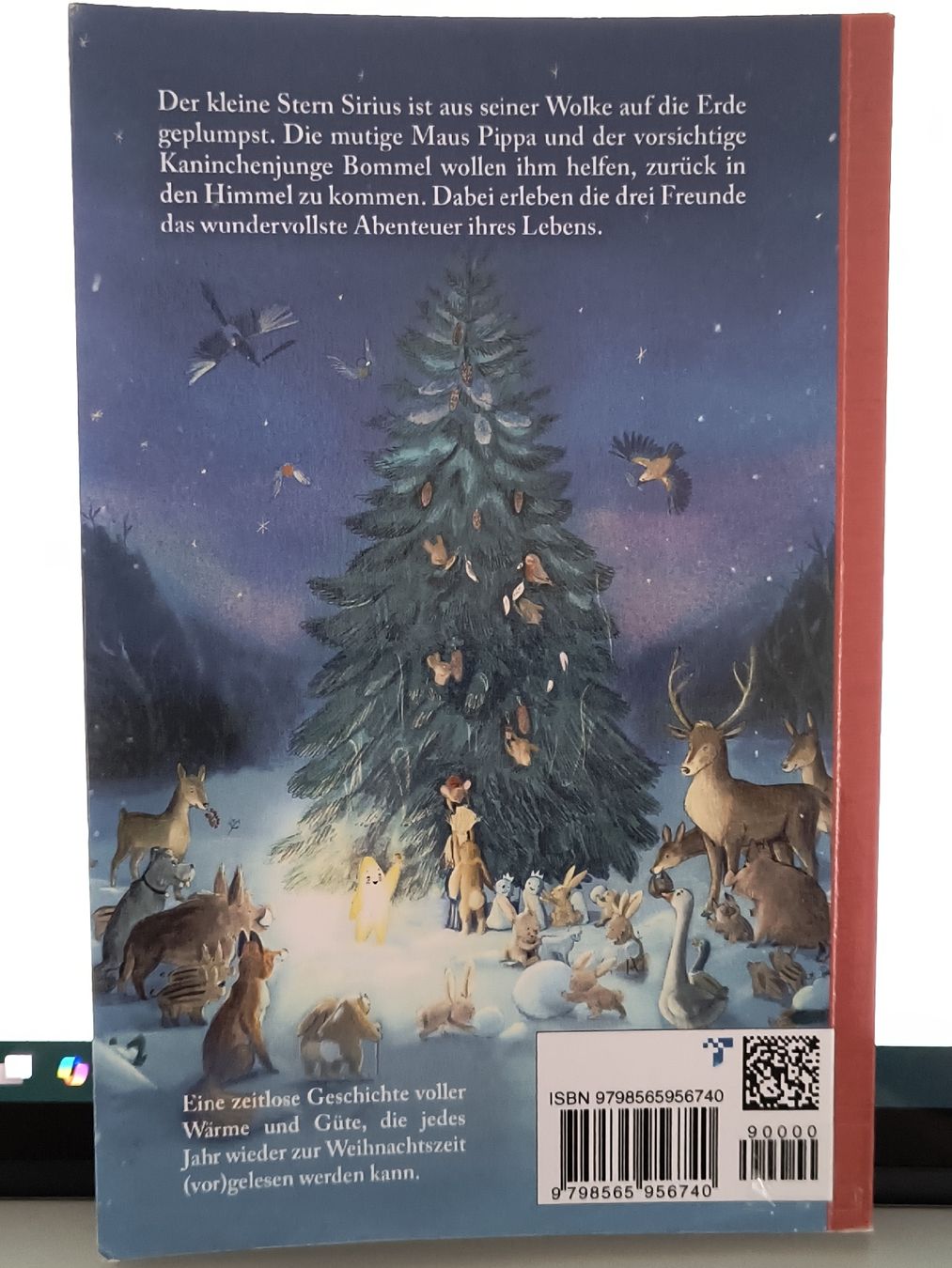 Libri: Weihnachtsgeschichte: Der kleine Weihnachtsstern – Usato da Schöfflisdorf venduto da KKB-Team1 1
