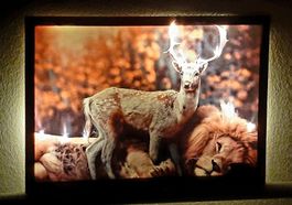 Kunstbild LED Hirsch Und Löwe