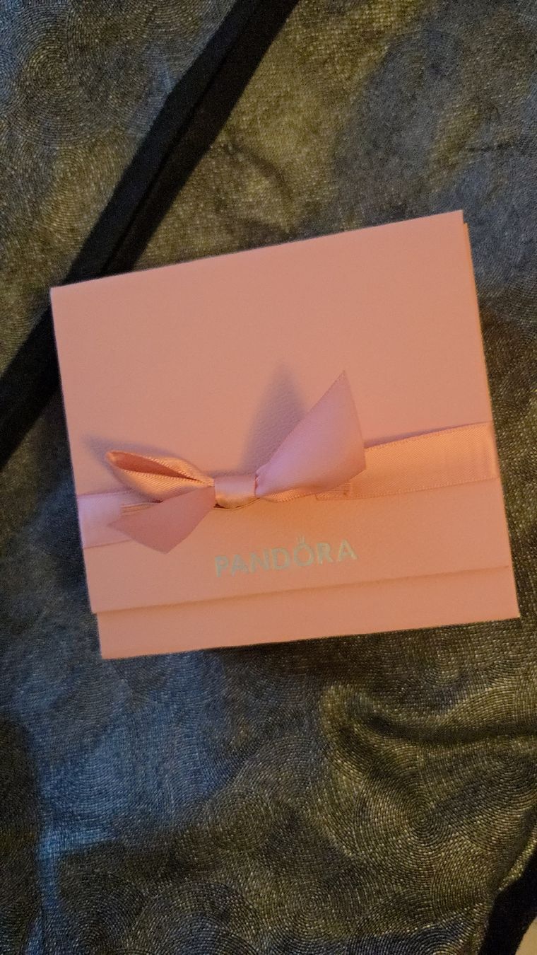 Pandora Armbänder & -reifen: Pandora Charms  – Neu und originalverpackt aus Gossau SG von sar_7vt5 2
