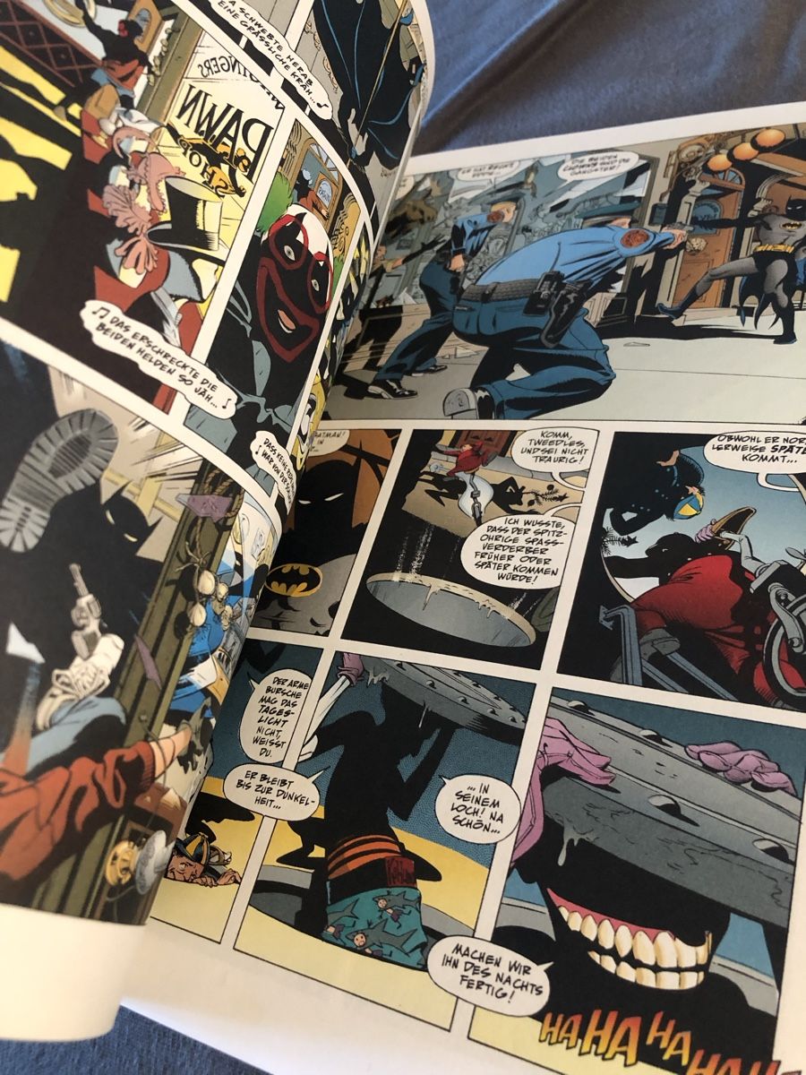 BD: superman/batman- fremdes terrain – D'occasion à Basel par LukasLiederer 2