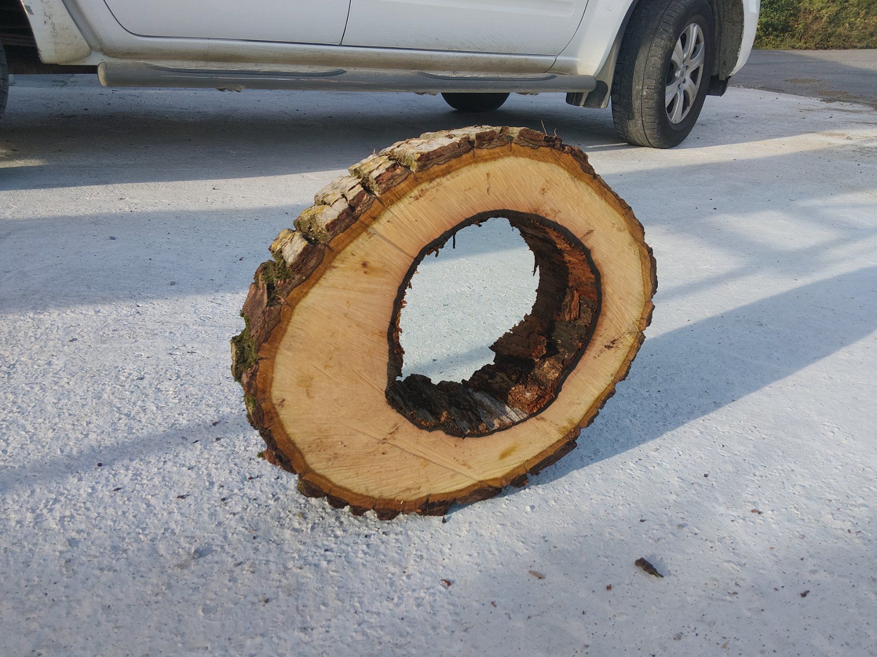 Articoli in legno: Nussbaum Holzscheibe Nr. 7 Dekoration – Nuovo (secondo la descrizione) da Affoltern am Albis venduto da ret_6x6z 3