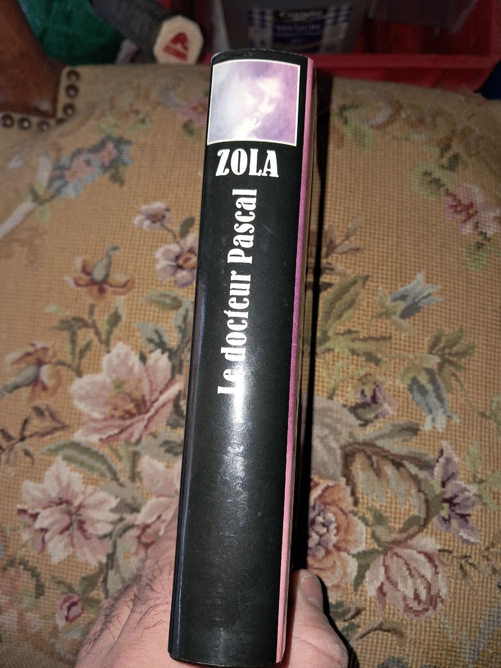 Libri: Le Docteur Pascal d'Émile Zola. – Usato da Le locle venduto da juliensaran 3