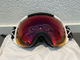 Skibrille von Shred