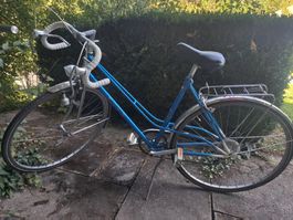 Cilo Vintage Velo