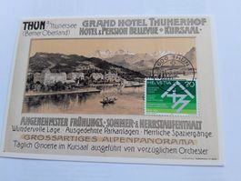 Ansichtskarte (Plakat) Grand Hotel THUNERHOF, Thun von 1905