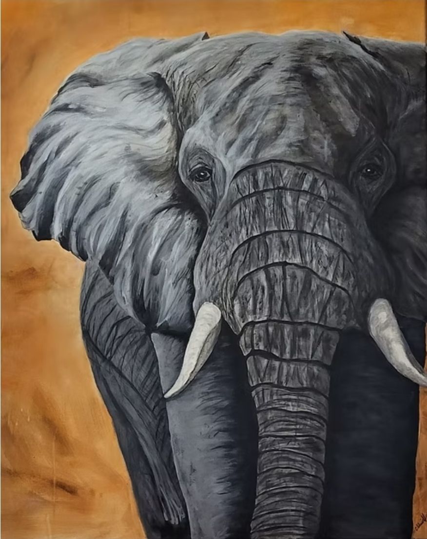 Foto & Immagini: Elefant – Nuovo (secondo la descrizione) da Meggen venduto da car_rxl6