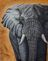 Elefant