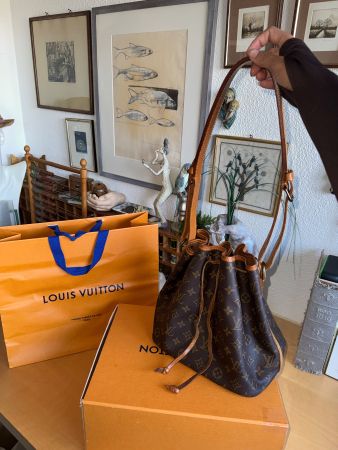 Louis Vuitton Petit Sac Noe Monogram Canvas