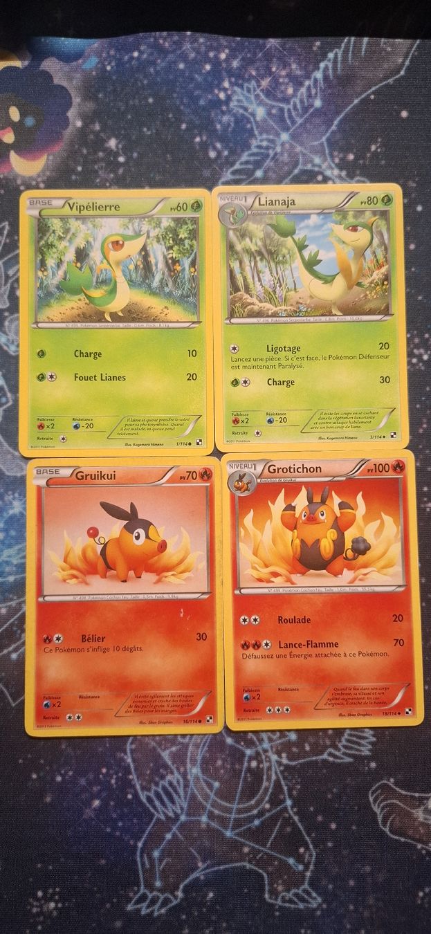 Pokémon Carte collezionabili: Pokemon Steam Siege Card Lot FR  – Usato da Petit-Lancy venduto da Kara_TCG
