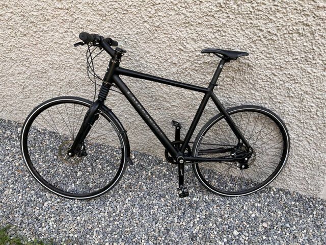 Cannondale bad boy rohloff sale