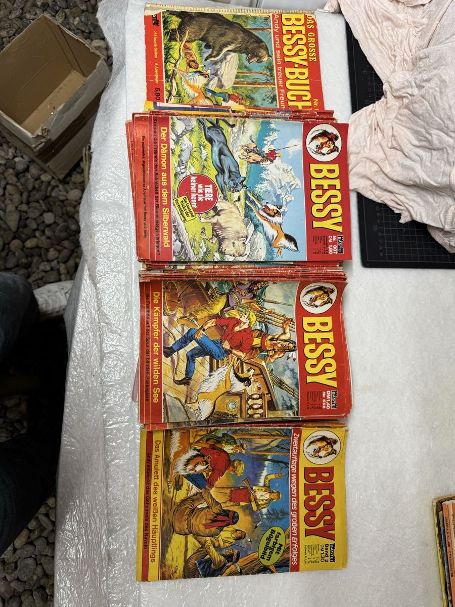 Fumetti: Bessy Comic Sammlung – Usato da Aeschi SO venduto da Toporiginals