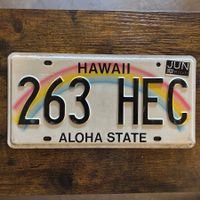 🇺🇸 U.S. Autoschild, Hawaii LHZ 318 - ORIGINAL
