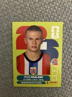 Erling Haaland Panini Sticker