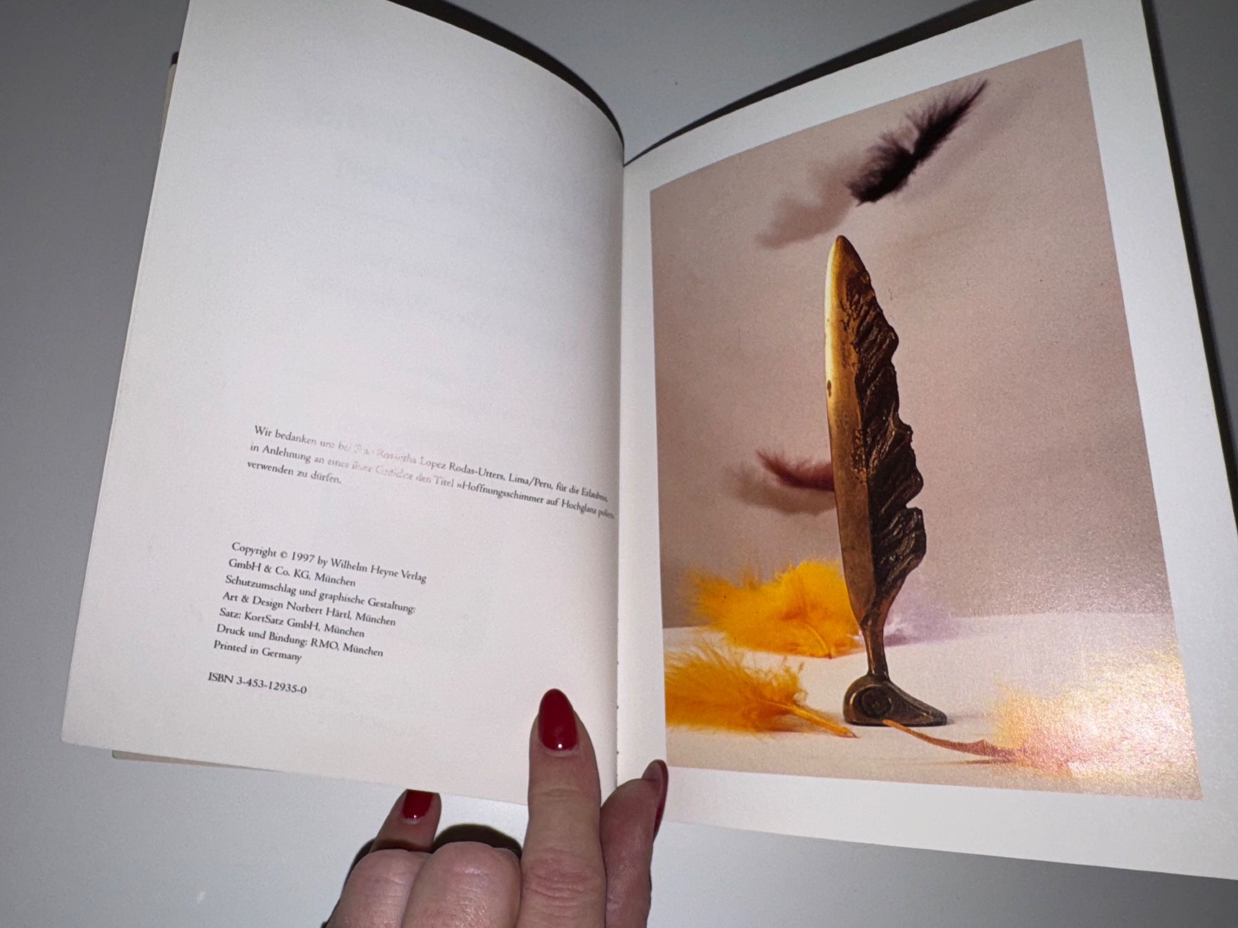 Libri: Buch: Hoffnungsschimmer auf Hochglanz poliert – Usato da Grosswangen venduto da Second_hand_paradise 2