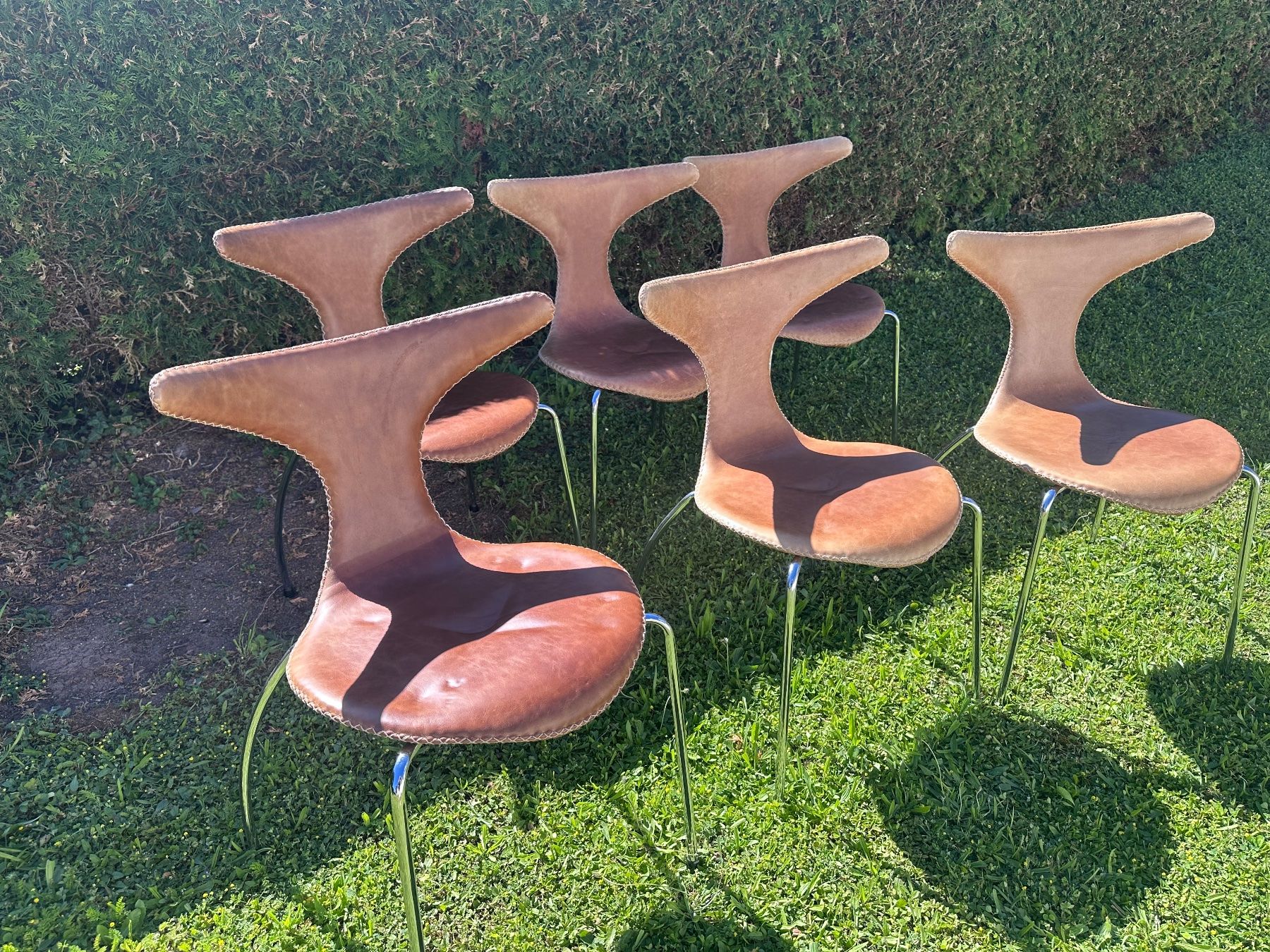 Chaises: 🪑six chaises en cuir – D'occasion à St-Légier-Chiésaz par EvaVDRiviera 1