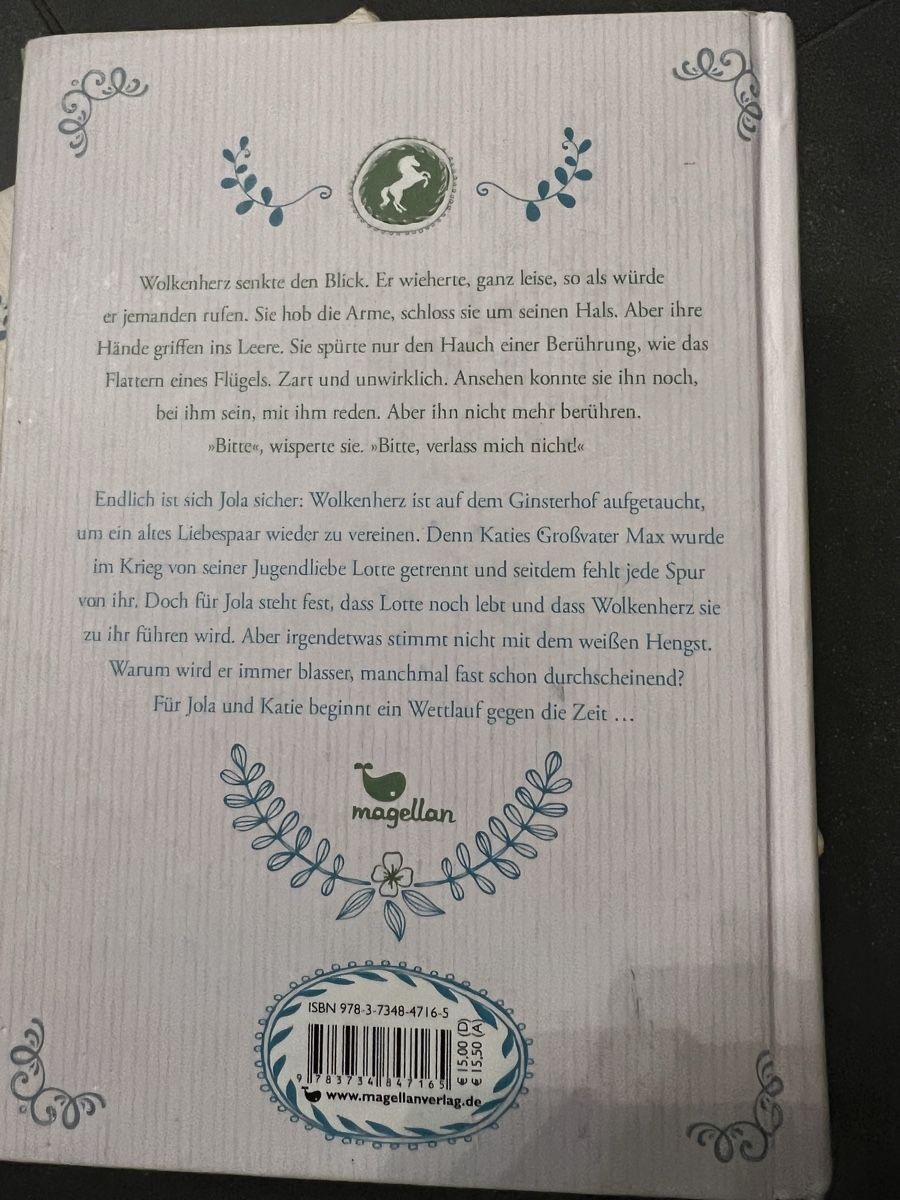 Libri: Wolkenherz – Nuovo (secondo la descrizione) da Flims Waldhaus venduto da casagrondasilvia 6