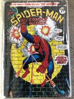 Spiderman hollywood comic