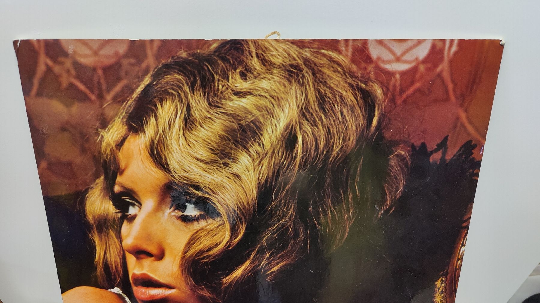 Poster & Bilder: Werbeplakat Karton Bier Fr.Halengut (L26) – Gebraucht aus Neuenhof von bro_9zsg 1