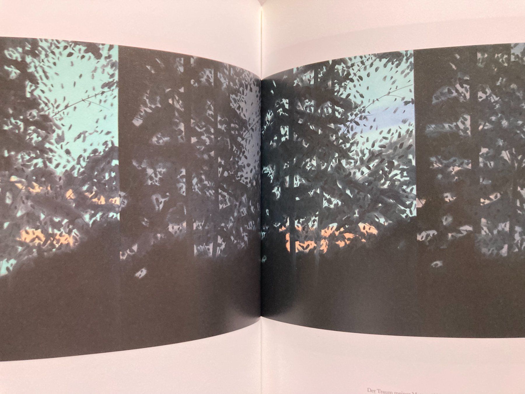 Libri: Alex Katz: Landscapes – Usato da Zürich venduto da Aisthesis 3