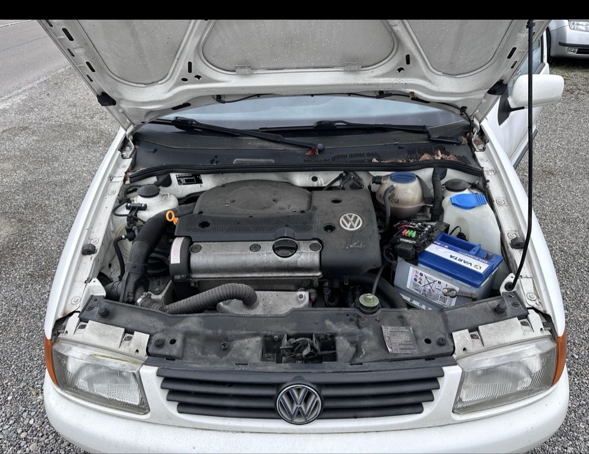 VW Automobili: VW Polo 60 – Difettoso da Balterswil venduto da 899 8