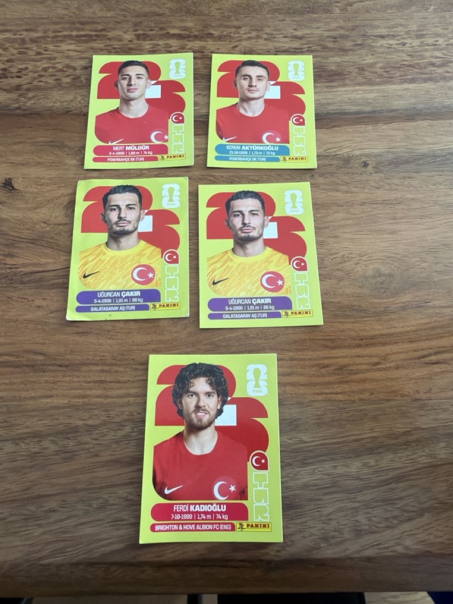 Panini Carte collezionabili: Panini Sticker Türkei  – Usato da Jona venduto da sport2018