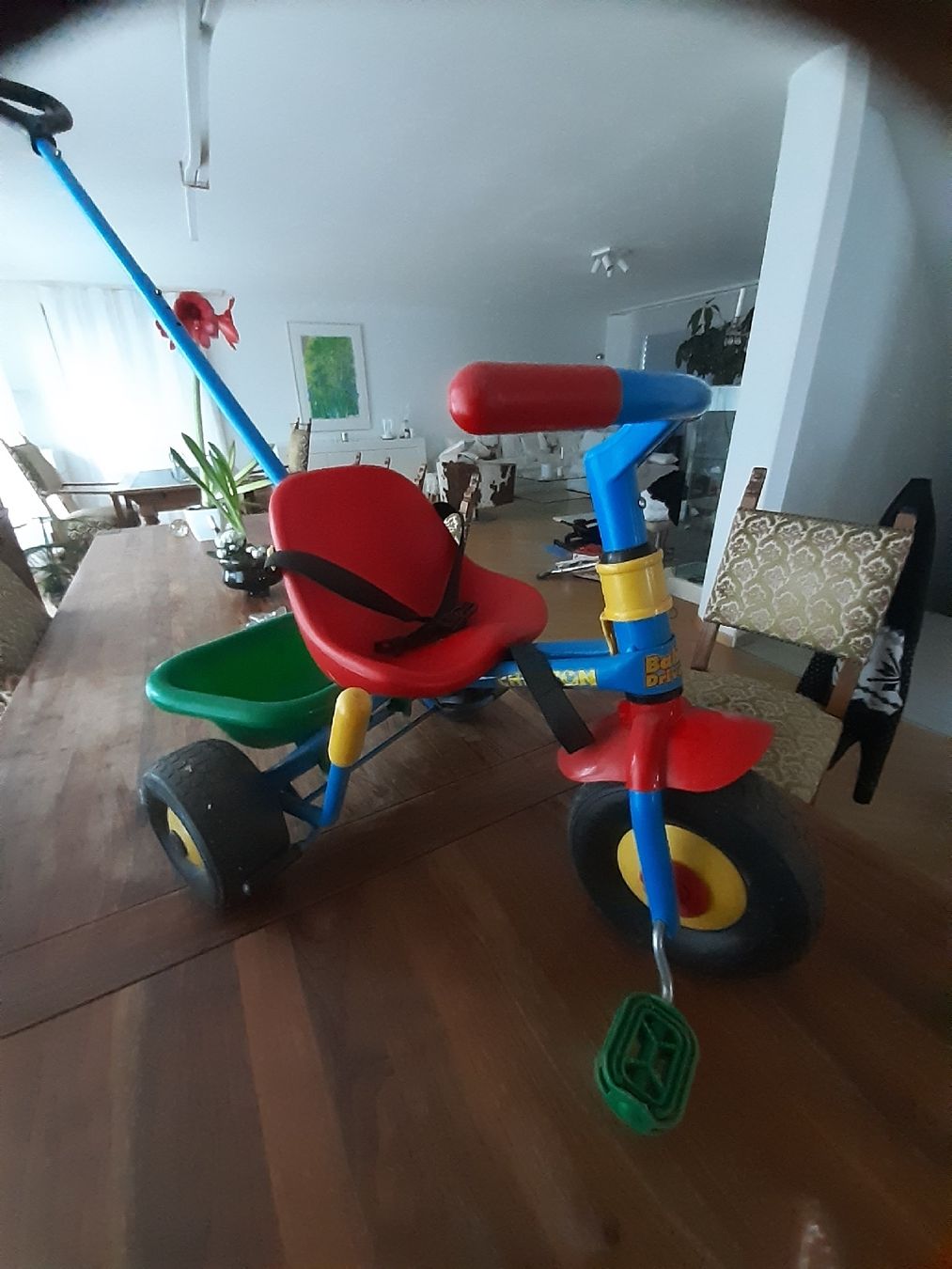 Puky Veicoli per bambini: kinderdeirad – Usato da Roggwil BE venduto da LotharW 2