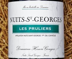 NUITS-SAINT-GEORGES - 2009 "Les Pruliers 1er  Cru" H. Gouges