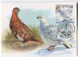 Postkarte "Moorschneehuhn". Weissrussland
