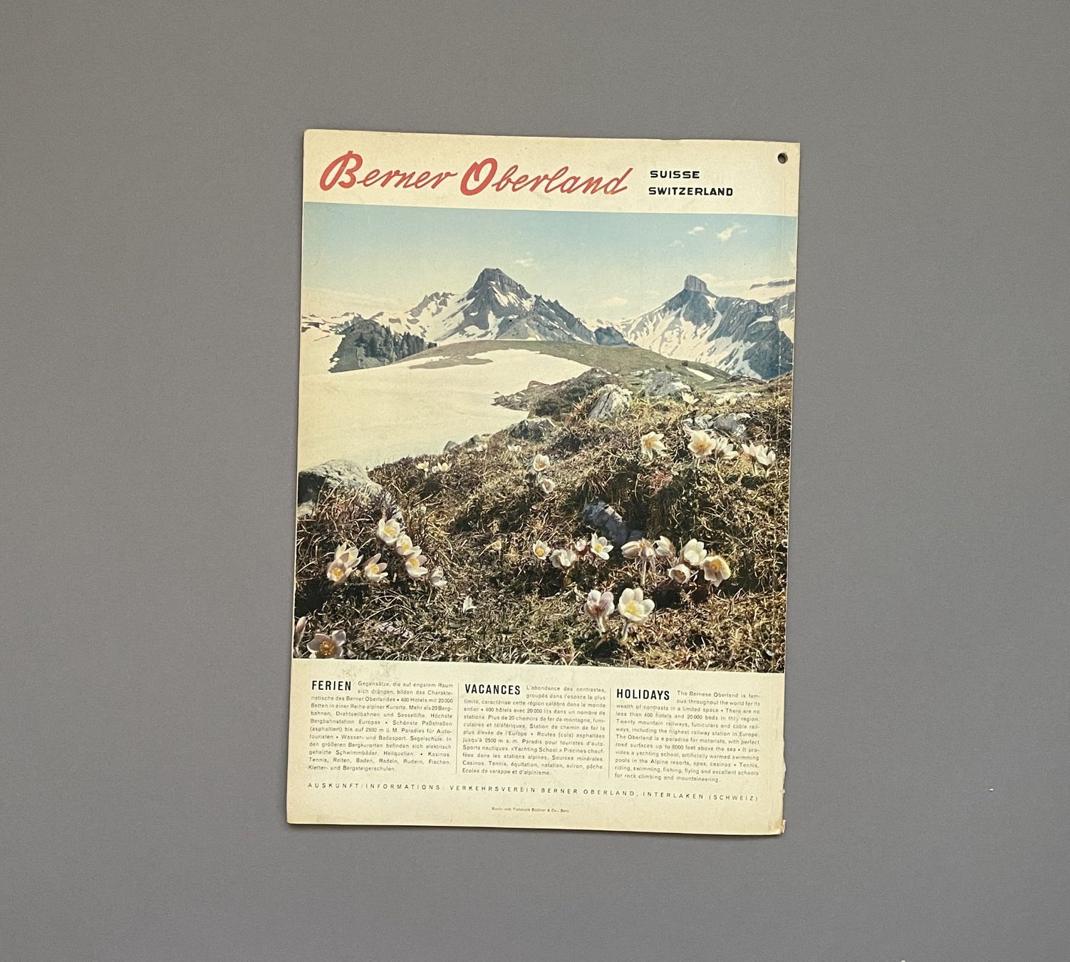 Revues & Magazines: 9 Hefte SVZ Revue. – D'occasion à Münsingen par 0449 5
