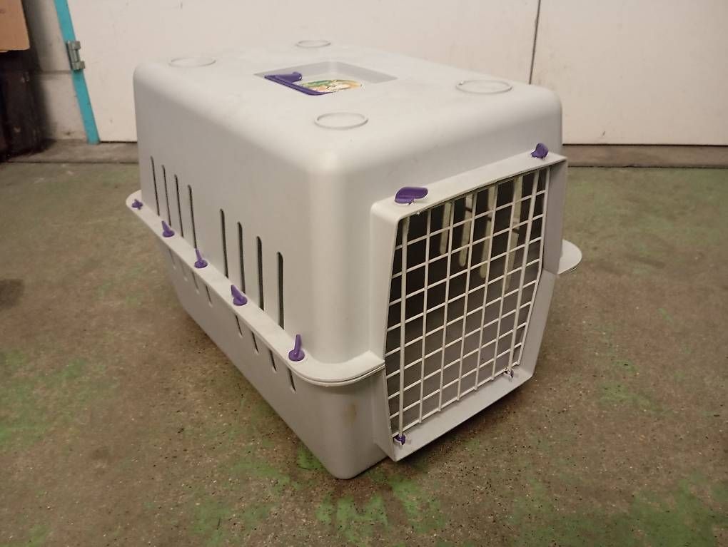 Gabbie, trasporto & Sicurezza: Hundebox – Usato da Basel venduto da Petergunn