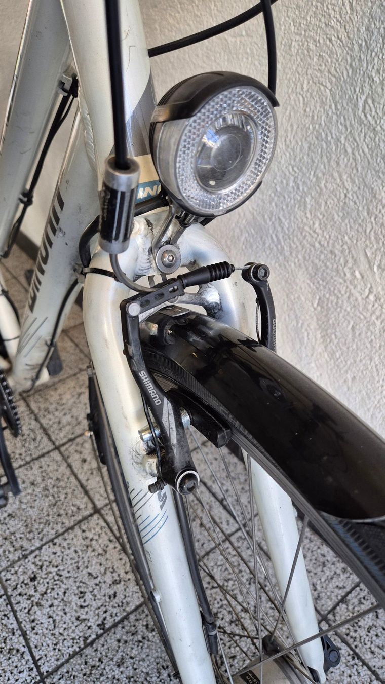 Winora Biciclette: Damenvelo / vélo dames – Usato da Basel venduto da Cellostoffeli 2